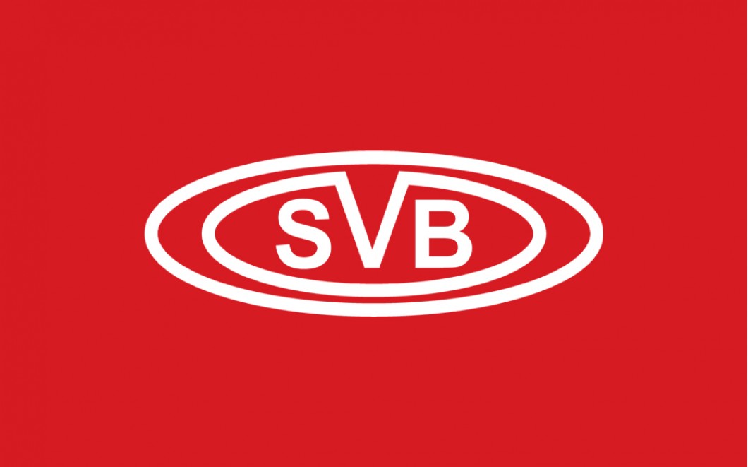 SVB Otomotiv Web Sitesi Yenilendi!