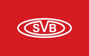 SVB Otomotiv Web Sitesi Yenilendi!
